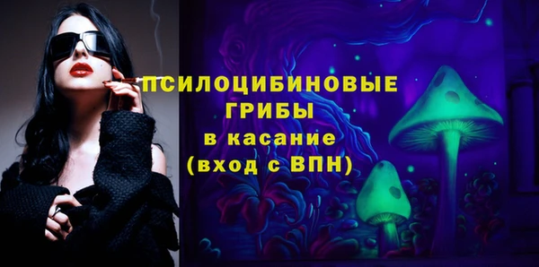 метадон Богданович