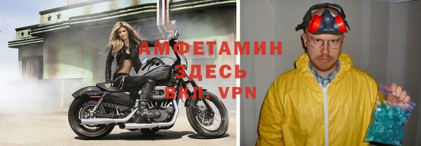 метадон Богданович