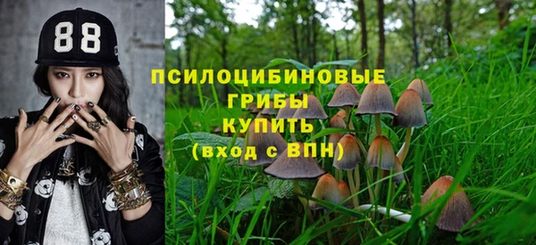 mdpv Богородицк