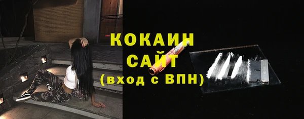 метадон Богданович