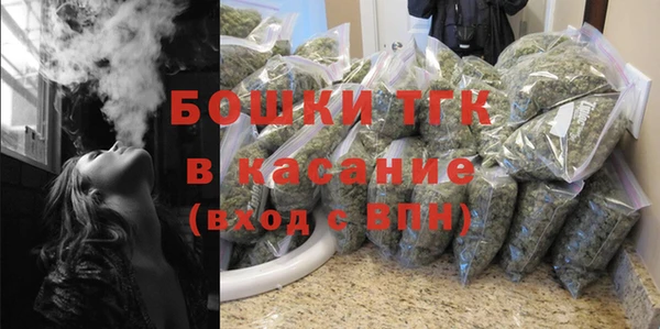 соль ск Богородск