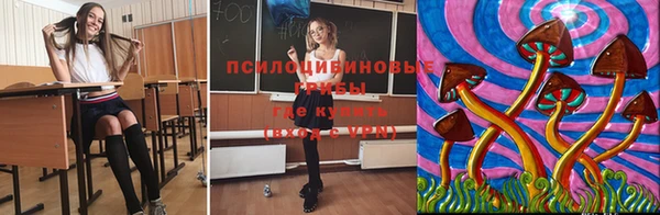 mdpv Богородицк
