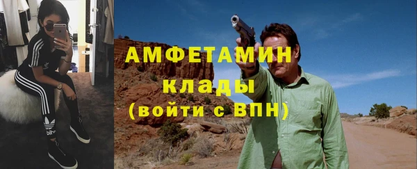 метадон Богданович