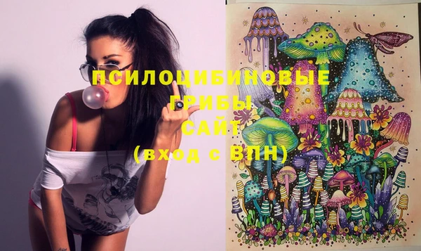 метадон Богданович