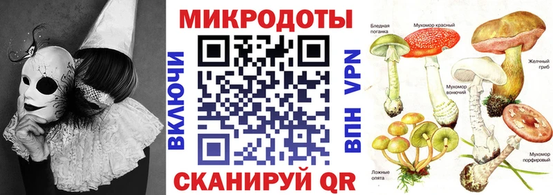 Галлюциногенные грибы GOLDEN TEACHER  купить наркотики цена  Навашино 